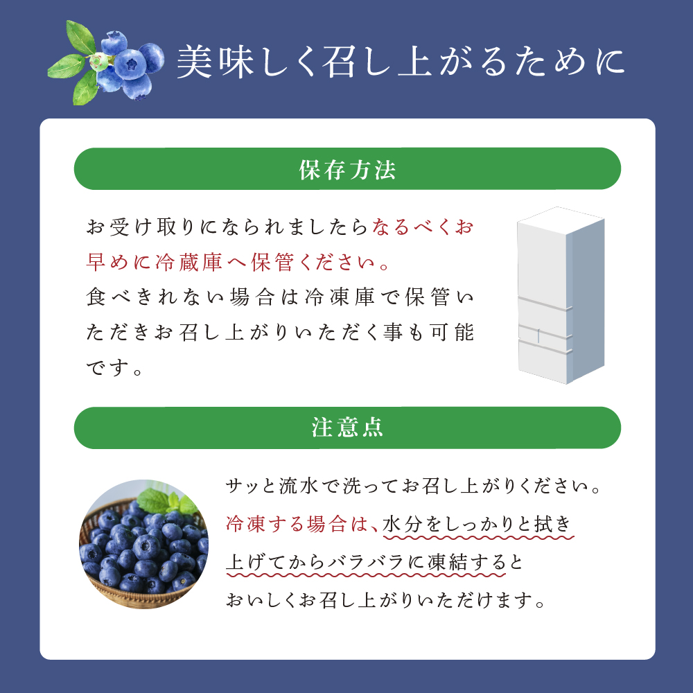 【先行受付】 ブルーベリー ミックス 1kg 北海道 芦別市 大橋さくらんぼ園