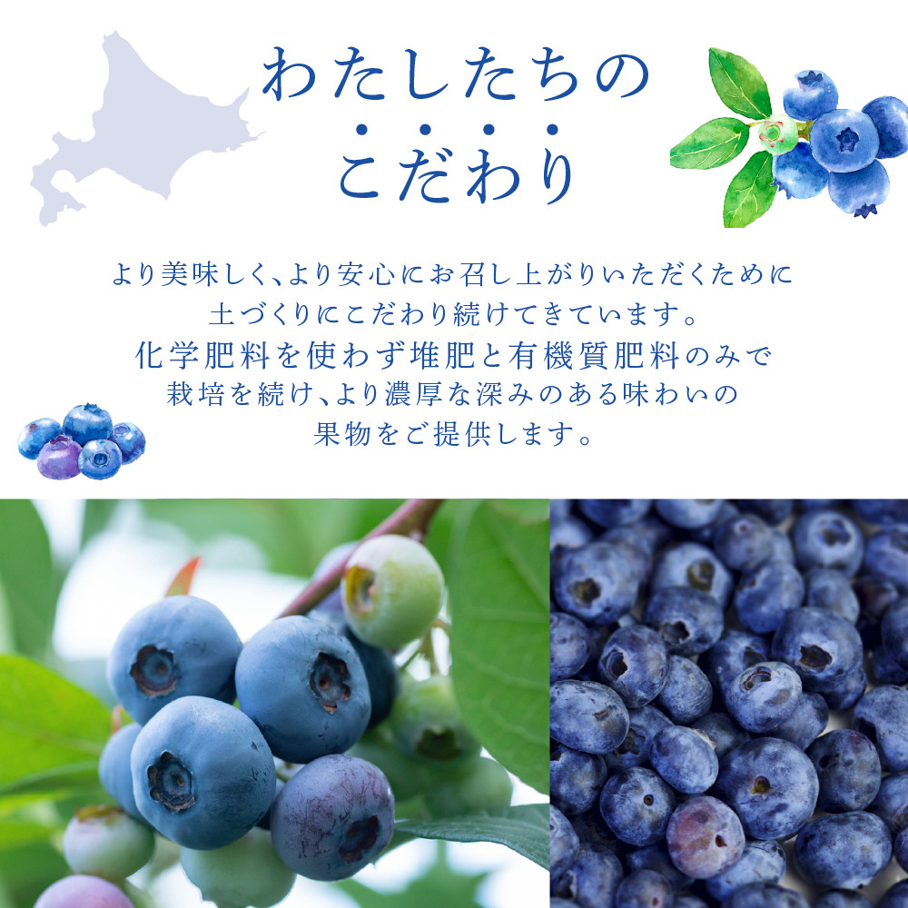 ブルーベリー ミックス 500g 冷凍 果物 くだもの フルーツ 旬の果物 旬のフルーツ ミックスブルーベリー 大粒 小粒 保存 北海道 芦別市