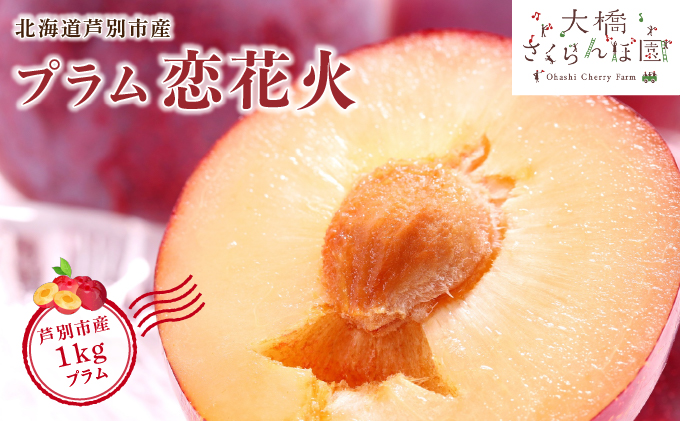 【先行受付】 プラム 恋花火 1kg 北海道 芦別市 大橋さくらんぼ園