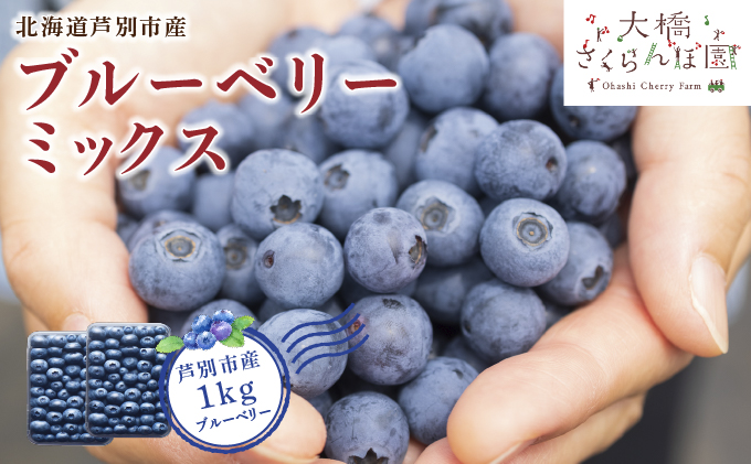 【先行受付】 ブルーベリー ミックス 1kg 北海道 芦別市 大橋さくらんぼ園