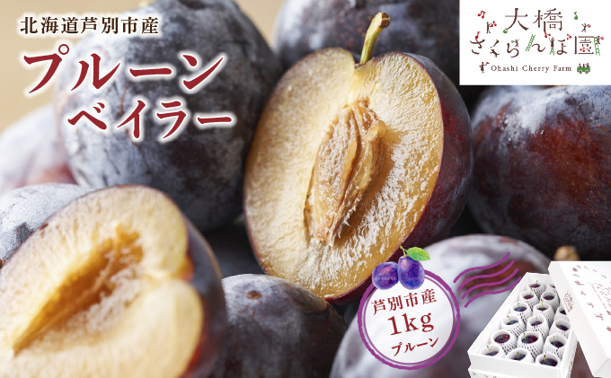 【先行受付】 プルーン ベイラー 1kg 北海道 芦別市 大橋さくらんぼ園