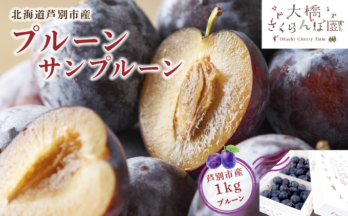 【先行受付】 プルーン サンプルーン 1kg 北海道 芦別市 大橋さくらんぼ園