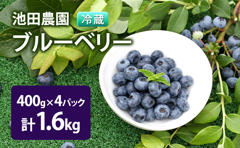 【2025年夏配送】生 ブルーベリー 計1.6kg(400g×4パック) 池田農園 北海道 小分け 新鮮 フルーツ 果物 旬 旬のフルーツ 旬の果物 お取り寄せ 産地直送 朝ごはん デザート おやつ ヨーグルト 冷蔵 芦別市