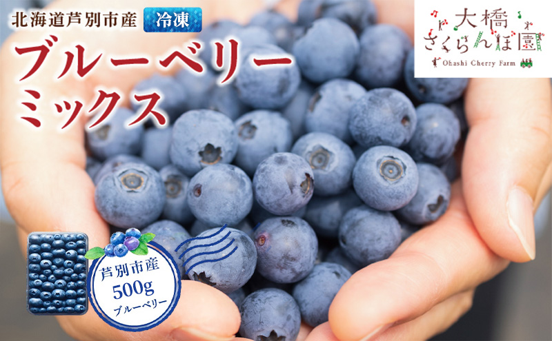 ブルーベリー ミックス 500g 冷凍 果物 くだもの フルーツ 旬の果物 旬のフルーツ ミックスブルーベリー 大粒 小粒 保存 北海道 芦別市