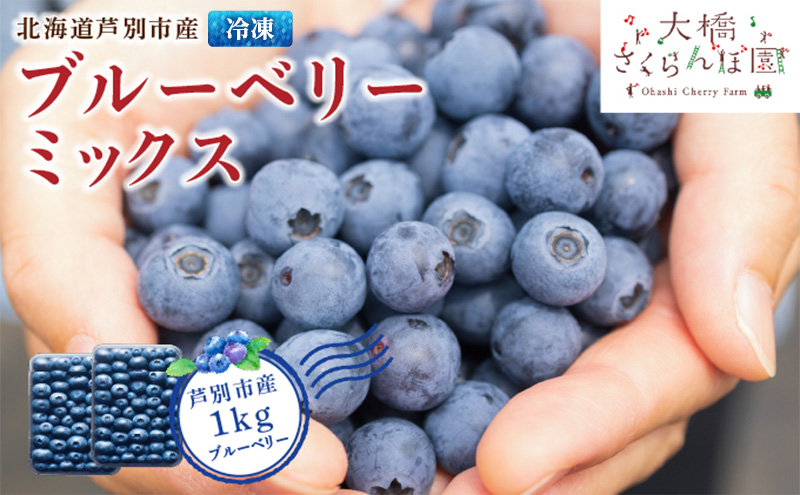 ブルーベリー ミックス 500g×2パック 計1kg 冷凍 果物 くだもの フルーツ 旬の果物 旬のフルーツ ミックスブルーベリー 大粒 小粒 小分け 保存 北海道 芦別市