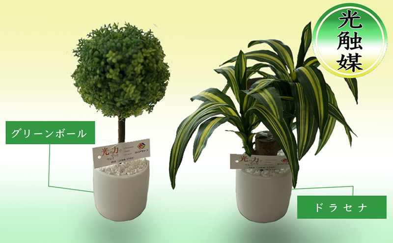 光触媒・造花 2つ セット ドラセナ グリーンボール 約25cm 観葉植物 植物 北海道 芦別市 日本インソール工業