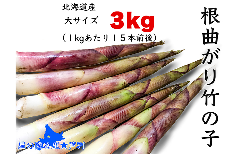 たけのこ 6月発送 根曲がり竹の子 3kg 1kgあたり15本程度 山菜直売店中野渡 北海道産 竹の子 タケノコ 野菜 山菜 新鮮 焼いて 味噌汁 春の恵み 調理 冷蔵配送 北海道 芦別市