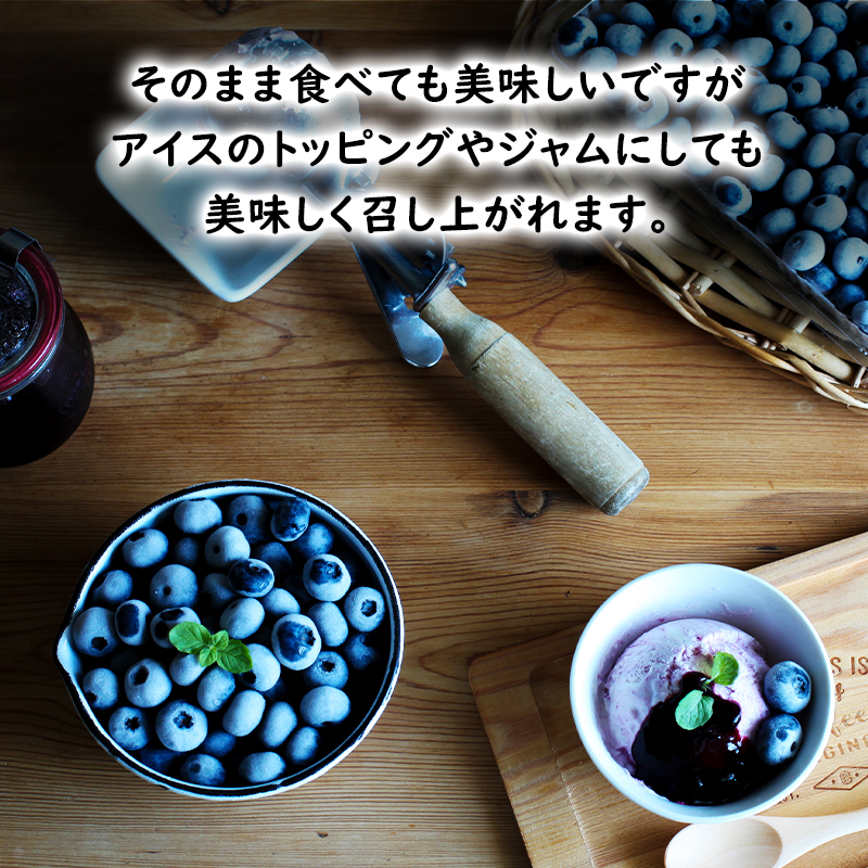 冷凍 ブルーベリー 800g (400g×2パック) 北海道産 フルーツ 果物 旬のフルーツ 旬の果物 くだもの 北海道 芦別市