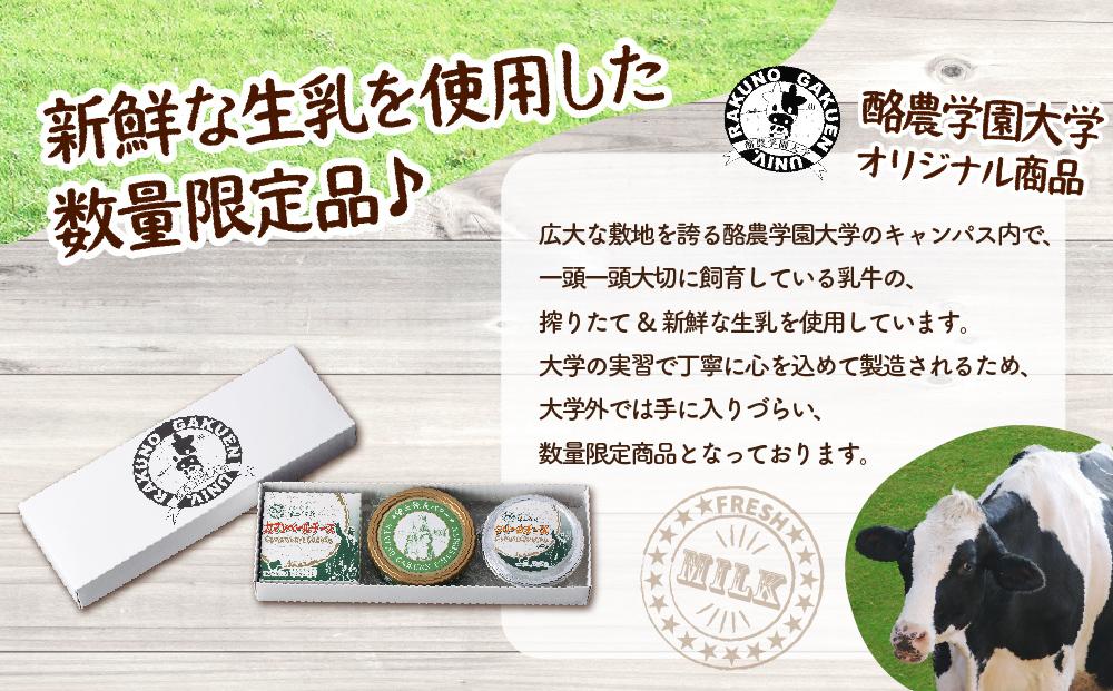 酪農学園大学　乳製品3点セット（バター・カマンベールチーズ・クリームチーズ）【チーズ バター 詰め合わせ 缶 北海道 】