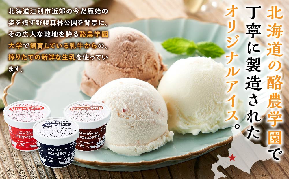 酪農学園大学アイス16個セット（各100ml）