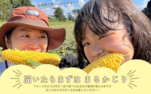 北海道江別産Ambitious Farm とうもろこし　恵味ゴールド　(12本）2025年8月より発送開始