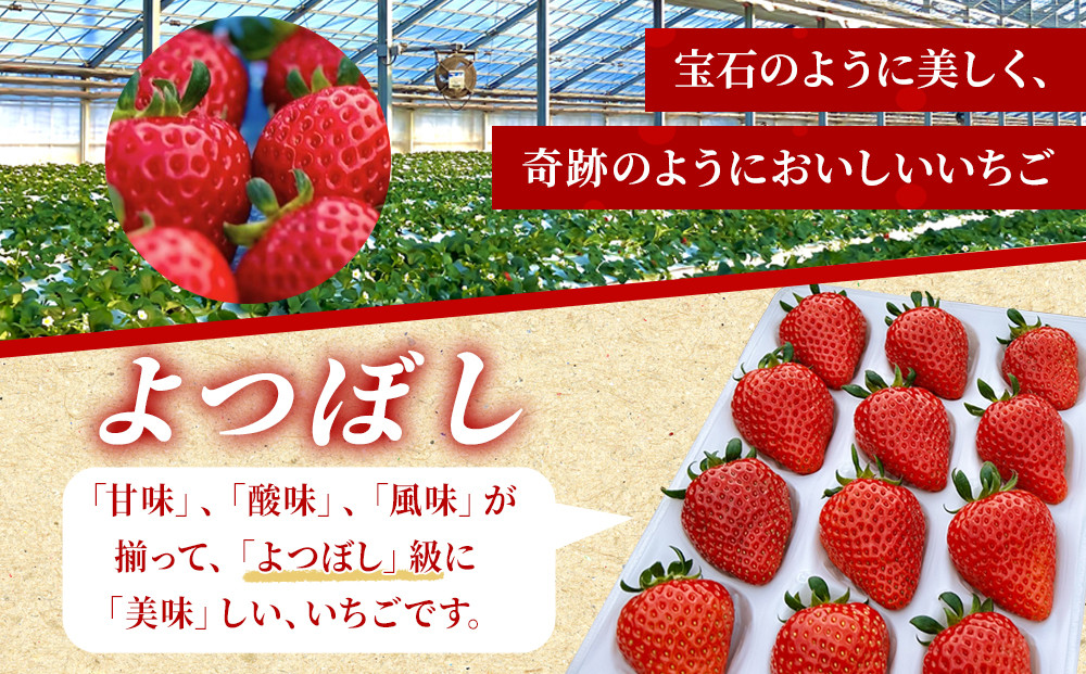 よつぼしいちご　約600g（約300g×2パック）