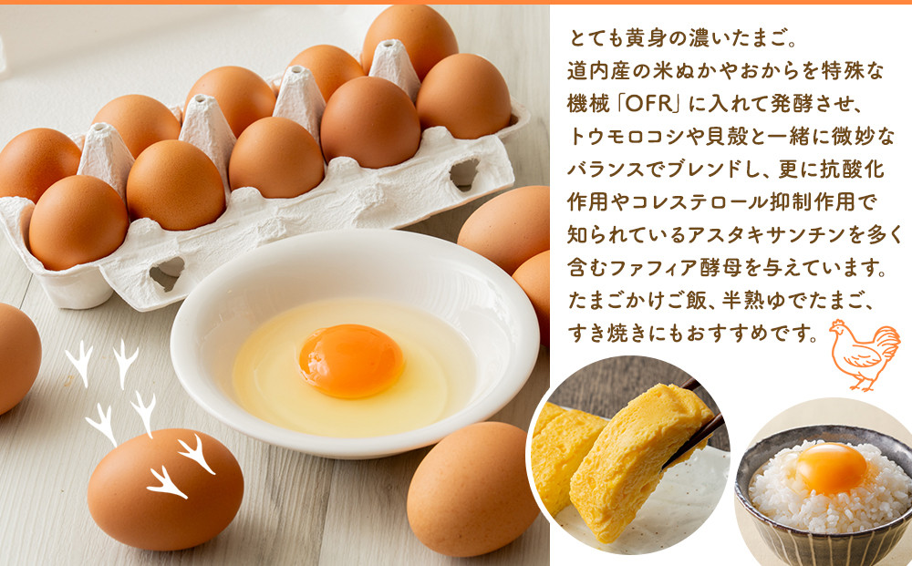 ファフィ卵10個入4パック（サイズ不ぞろい）