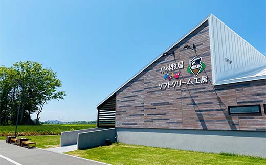 小林牧場プリン　カスタード、ミルク、チョコレート　各４個 EB8-0461