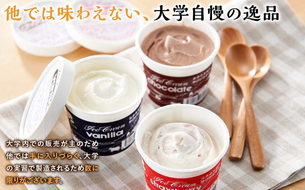 酪農学園大学アイス16個セット（各100ml）