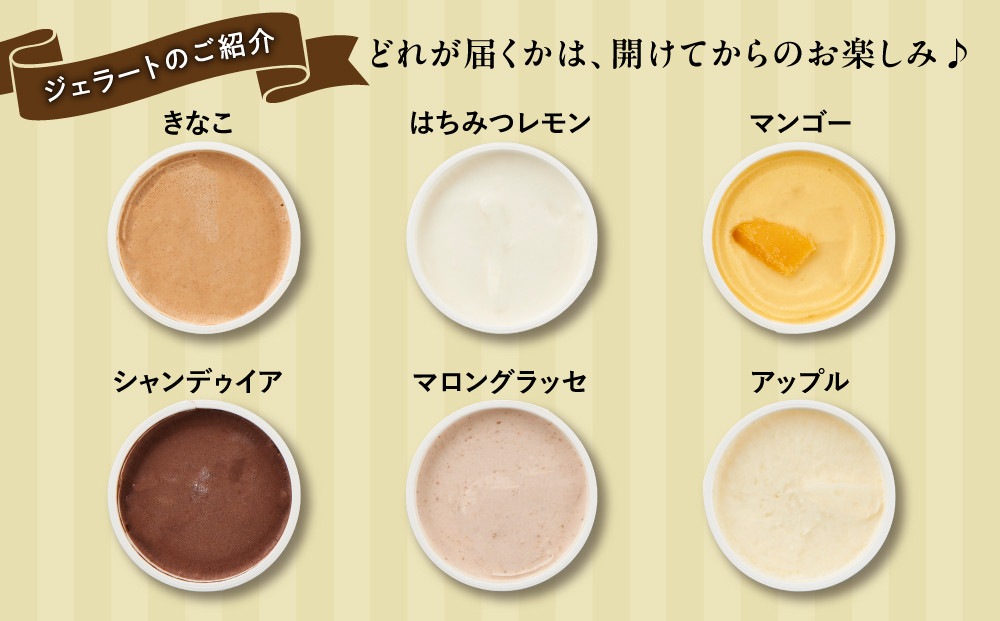 【合計30個】ジェラートおまかせ30種（80ml×30個セット）