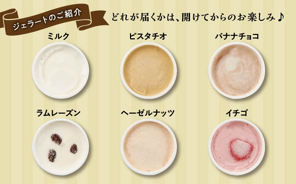 【合計　12個】ジェラートおまかせ　12個セット