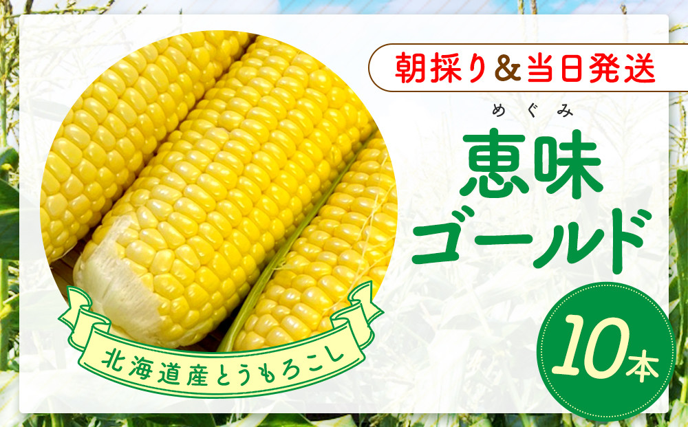 【2026年8月中旬発送開始】北海道産とうもろこし（恵味ゴールド10本）