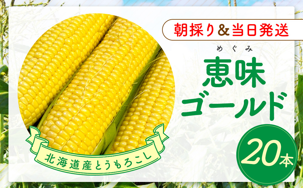 【2026年8月中旬発送開始】北海道産とうもろこし（恵味ゴールド20本）