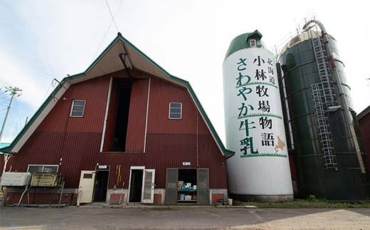 小林牧場プリン　カスタード、ミルク、チョコレート　各４個 EB8-0461