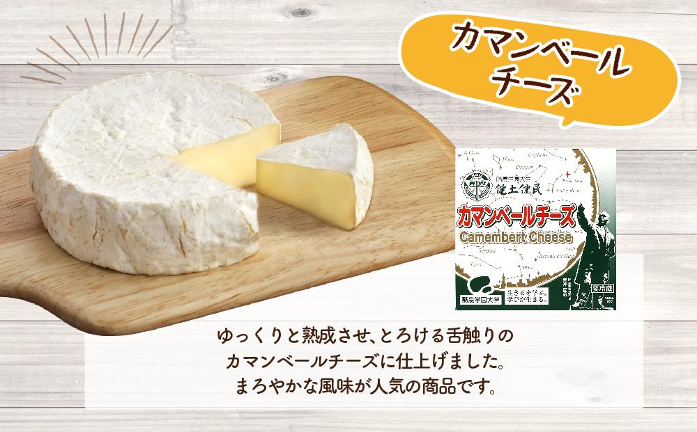 酪農学園大学　乳製品3点セット（バター・カマンベールチーズ・クリームチーズ）【チーズ バター 詰め合わせ 缶 北海道 】