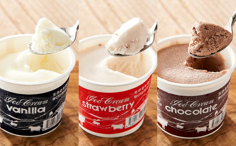 酪農学園大学アイス16個セット（各100ml）