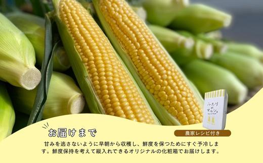 北海道江別産 Ambitious Farm とうもろこし　恵味ゴールド　(6本）2025年8月より発送開始