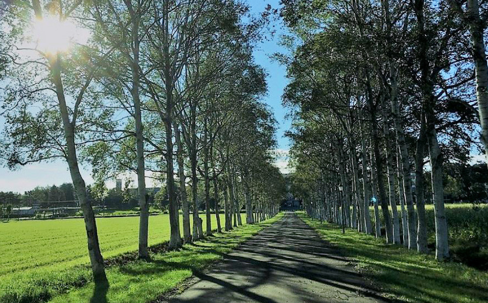 ペットと泊まれる民泊 BoniCaroB&B 3名様一泊分　宿泊券