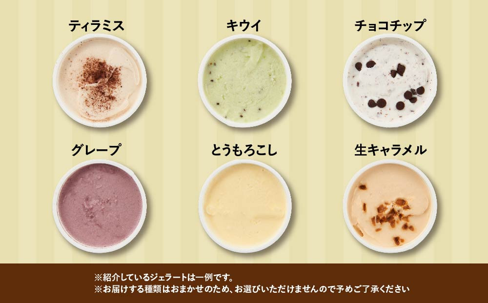 【合計30個】ジェラートおまかせ30種（80ml×30個セット）