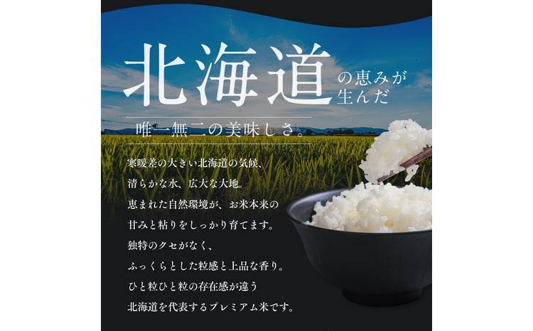 【定期便全2回】令和7年産 金王冠 精米 北海道産 ゆめぴりか 10kg (5kg×2) 特A 白米 お米 こめ EB8-0505