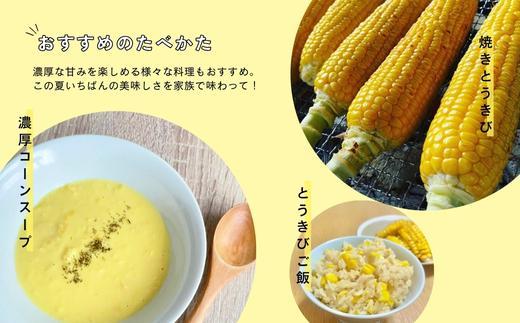 北海道江別産　Ambitious Farm とうもろこし　恵味ゴールド　(18本)  2025年8月より発送開始