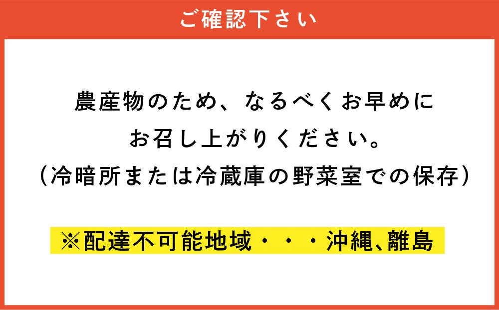 『春夏秋菜』男爵いも10kg/2025年10月より順次発送