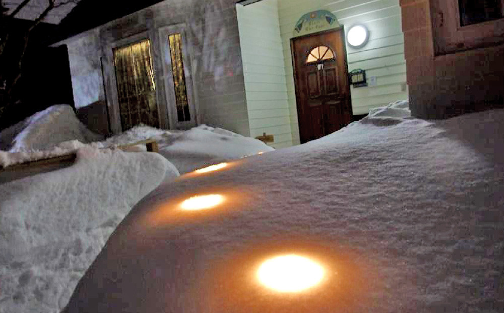 ペットと泊まれる民泊 BoniCaroB&B 1名様一泊分　宿泊券