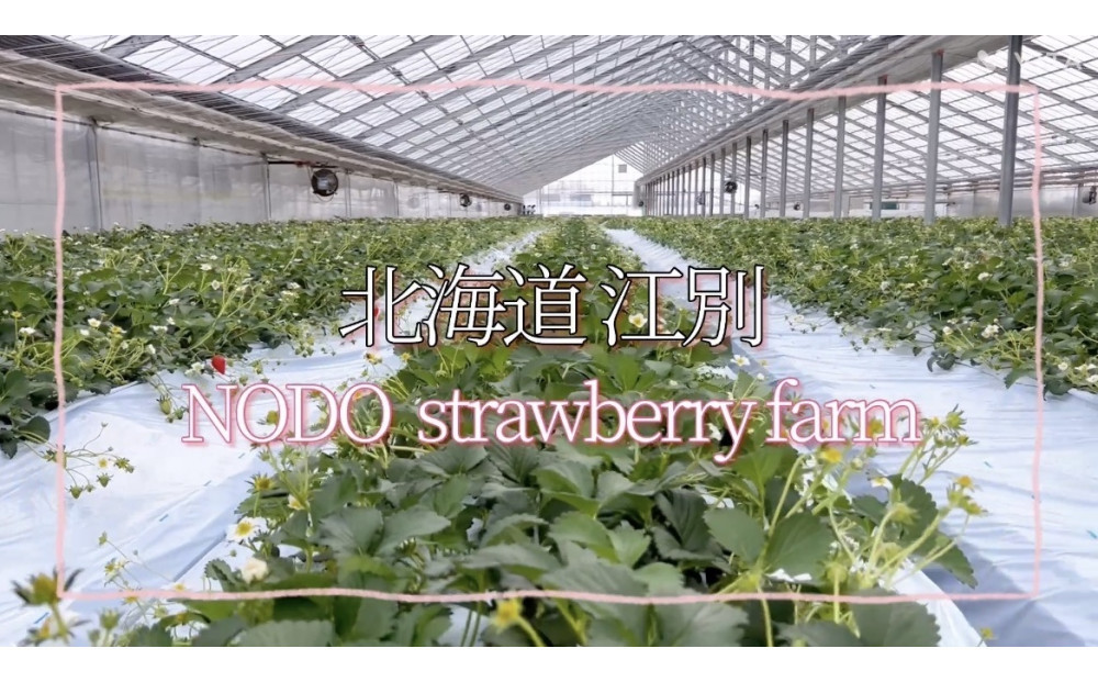 よつぼしいちご　約600g（約300g×2パック）