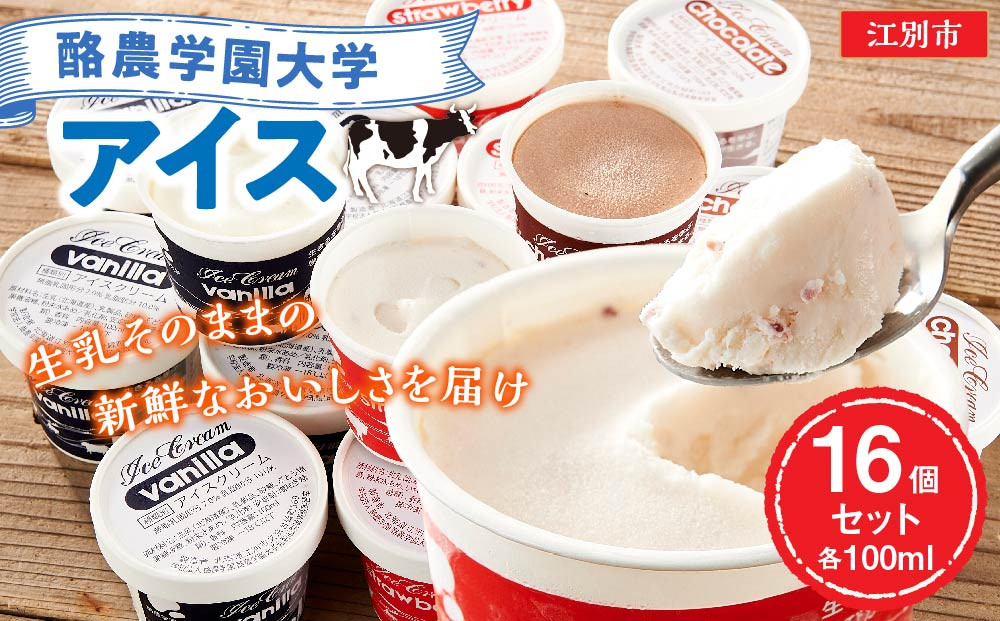 酪農学園大学アイス16個セット（各100ml）