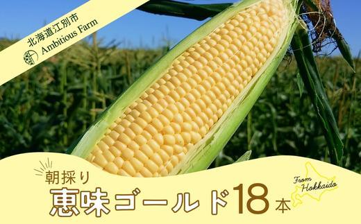 北海道江別産　Ambitious Farm とうもろこし　恵味ゴールド　(18本)  2025年8月より発送開始