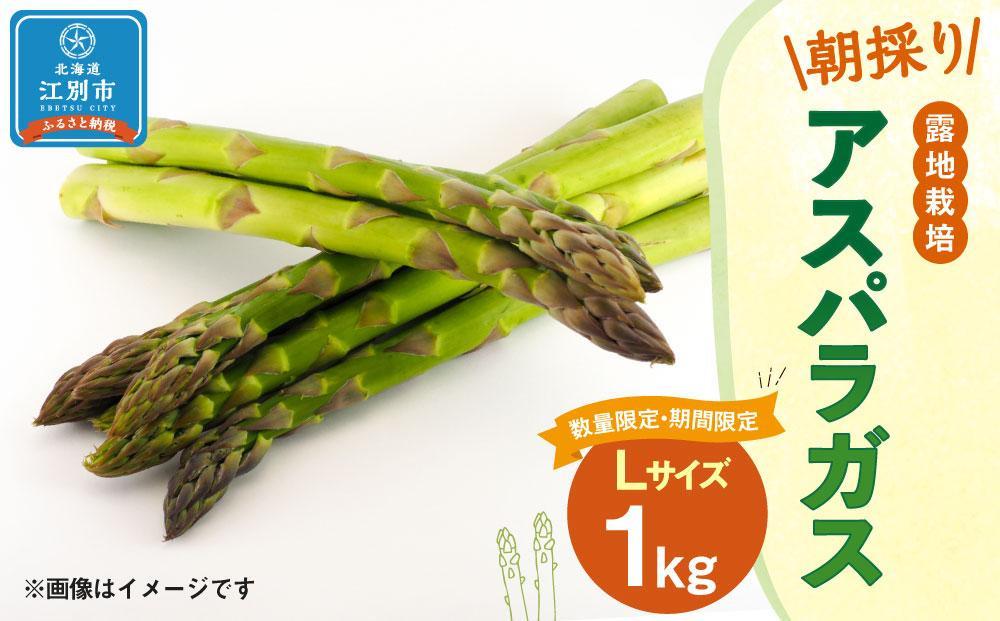 【先行予約/2026年4月下旬より発送開始】BO002＜数量限定・期間限定＞グリーンアスパラガス(Lサイズ) 1kg 露地栽培 朝採り