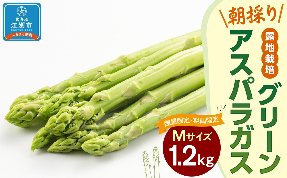 【先行予約/2026年4月下旬より発送開始】BO003＜数量限定・期間限定＞グリーンアスパラガス(Mサイズ) 1.2kg 露地栽培 朝採り