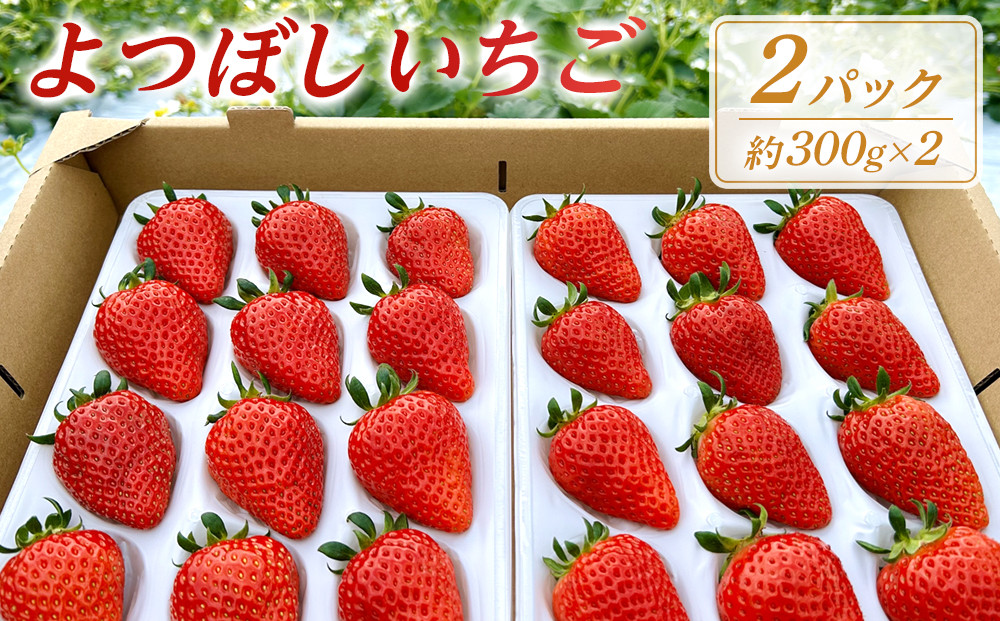 よつぼしいちご　約600g（約300g×2パック）