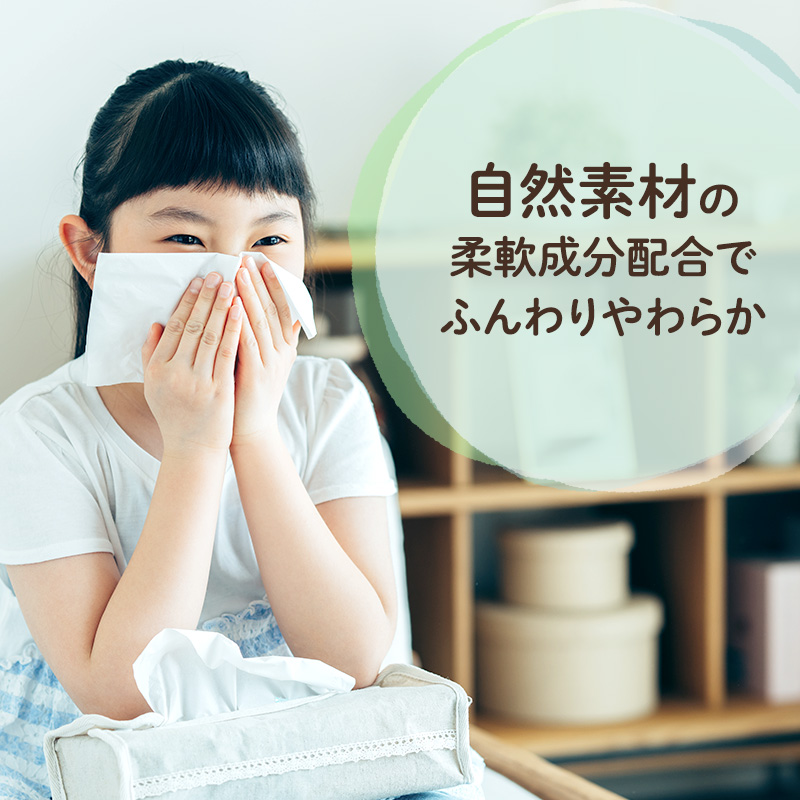エリエール 北海道ティシュー 300組 5箱×10パック 計50箱 なまらたっぷり 大容量  最短 10日以内 ボックスティシュー 箱ティッシュ まとめ買い ペーパー 紙 防災 常備品 消耗品 備蓄 日用品 生活必需品 北海道 赤平市