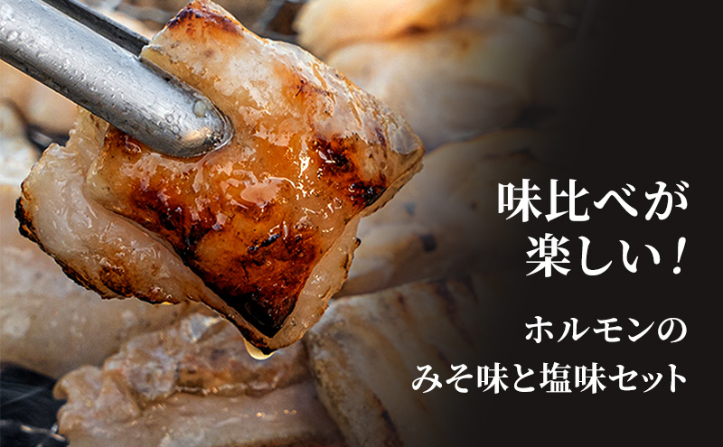 たきもとのホルモンセット（みそ・塩）