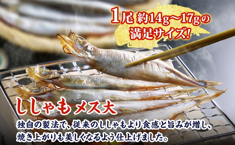 北海道産ししゃもメス大30尾 北海道 稀少 魚シシャモ メス おつまみ