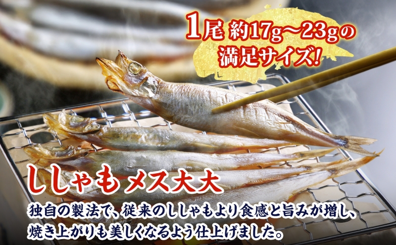 北海道産ししゃもメス大大30尾 北海道 稀少 魚シシャモ メス おつまみ