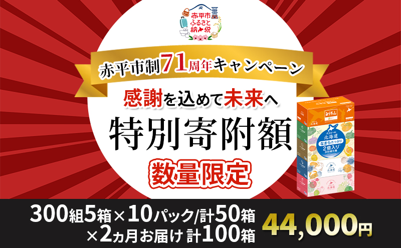 【2ヵ月連続お届け・計100箱】エリエール 北海道 ティシュー なまらたっぷり 300組5箱 10パック 大容量 まとめ買い 防災 常備品 備蓄品 消耗品 日用品 生活必需品 送料無料 赤平市
