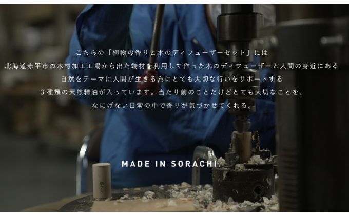 植物の香りと木のディフューザーセット