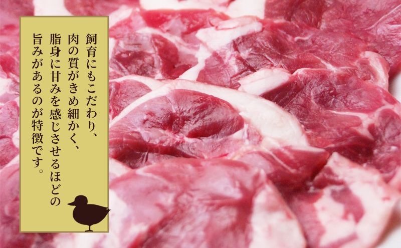 北海道ジンギスカン 300g×2袋 羊肉 ラム肉 ワインラム 焼肉 小分け タレ 味付け 個包装 簡単調理 冷凍 北海道 アウトドア アイマトン 北海道 赤平市