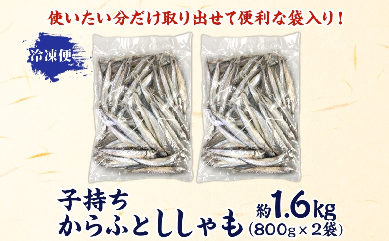 子持ちからふとししゃも 約1.6kg(800g×2) 樺太 魚シシャモ メス おつまみ