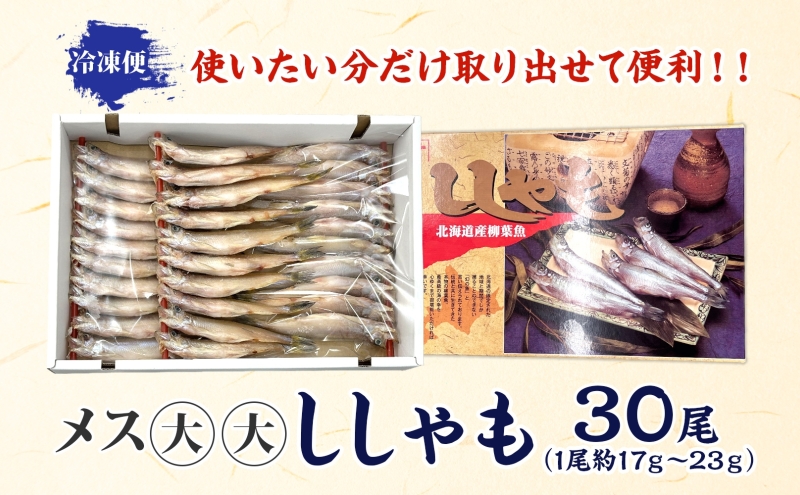 北海道産ししゃもメス大大30尾 北海道 稀少 魚シシャモ メス おつまみ