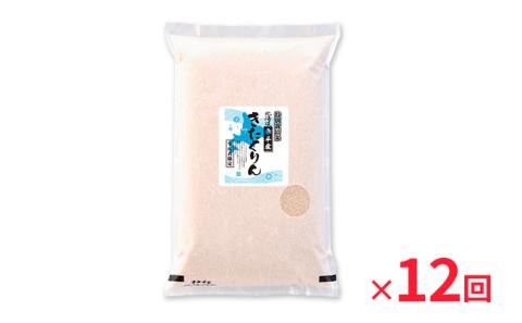 北海道赤平産 きたくりん 5kg 特別栽培米 【12回お届け】 精米 米 北海道 定期便 お米