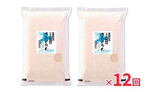 北海道赤平産 きたくりん 10kg (5kg×2袋) 特別栽培米 【12回お届け】 精米 米 北海道 定期便 お米